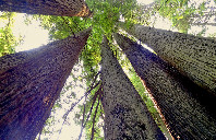 留学利兹大学申请条件介绍