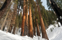 留学英国布里斯托大学院校介绍