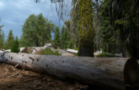 留学英国传媒专业优秀院校推荐