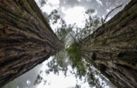 英国兰卡斯特大学工程院校介绍（下）