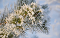 留学英国创意艺术大学优势介绍（上）