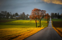 留学英国需要哪些申请条件？