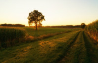 留学英国华威大学优势专业介绍