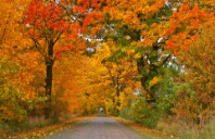 留学英国帝国理工学院都有哪些好处？（上）