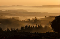 申请留学埃克塞特大学需要哪些条件？