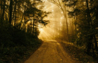 加拿大都有哪些热门理工科专业？