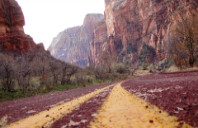 加拿大食品科学专业院校推荐（上）
