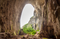 加拿大食品科学专业院校推荐（下）