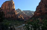 留学加拿大优势商科院校推荐