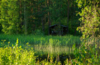 留学加拿大名校王牌专业介绍（上）