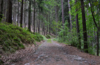 留学加拿大名校王牌专业介绍（下）