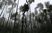 加拿大热门留学专业盘点（下）