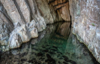 加拿大本科留学专业推荐（上）