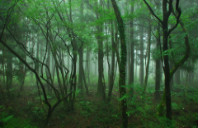 2021加拿大热门留学专业介绍（上）