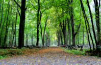 加拿大翻译专业名校及就业前景介绍（下）