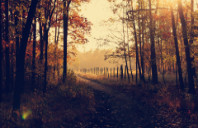 加拿大金融专业热门大学介绍（下）