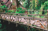 留学加拿大热门专业介绍（上）