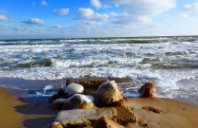 留学加拿大热门专业介绍（下）