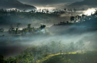 英国高就业率专业及优势院校介绍（下）