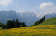 英国留学医学专业学制及院校介绍(下)