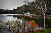 英国留学医科专业院校推荐（下）
