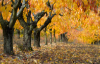 英国留学三大工科专业介绍