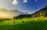 留学英国各大学优势专业介绍(下)