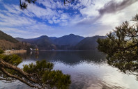 加拿大西蒙菲莎大学都有哪些专业？