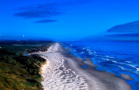 留学加拿大文科专业介绍（下）