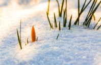 英国酒店管理专业优势院校推荐