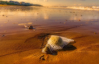 英国管理学硕士热门学校推荐