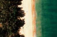 英国曼彻斯特大学开设有哪些专业？（上）