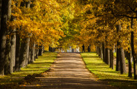 英国利物浦大学硕士专业介绍