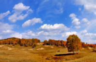 英国谢菲尔德商学院申请条件（下）