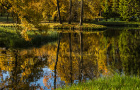 美国动漫专业优势院校介绍