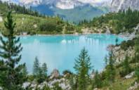 留学美国哈佛大学MBA硬性要求介绍