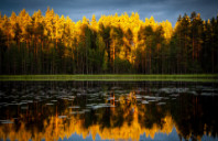 加拿大都有哪些MBA优势院校？（下）