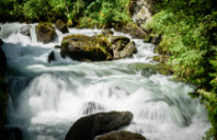 加拿大本科有哪些专业可以选择？（上）