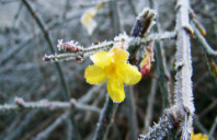 加拿大都有哪些就业前景好的专业？