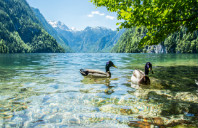 加拿大热门专业及相关院校介绍（下）