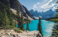 加拿大哪些专业好就业？