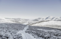 留学美国心理学专业介绍(下)