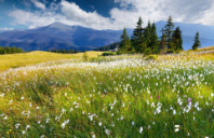 留学美国市场营销专业如何?