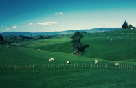 留学美国机械工程专业院校推荐