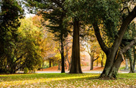 坎特伯雷大学：新西兰优质名校