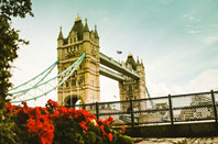 英国公立高校：新白金汉大学