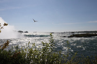 加拿大公立院校：乔治布朗学院