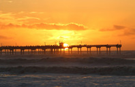 加州大学十大分校详解