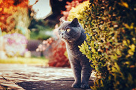 英国留学认可高考成绩的院校