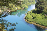 梅西大学：高考成绩免雅思入学